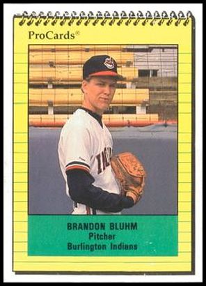 3290 Brandon Bluhm